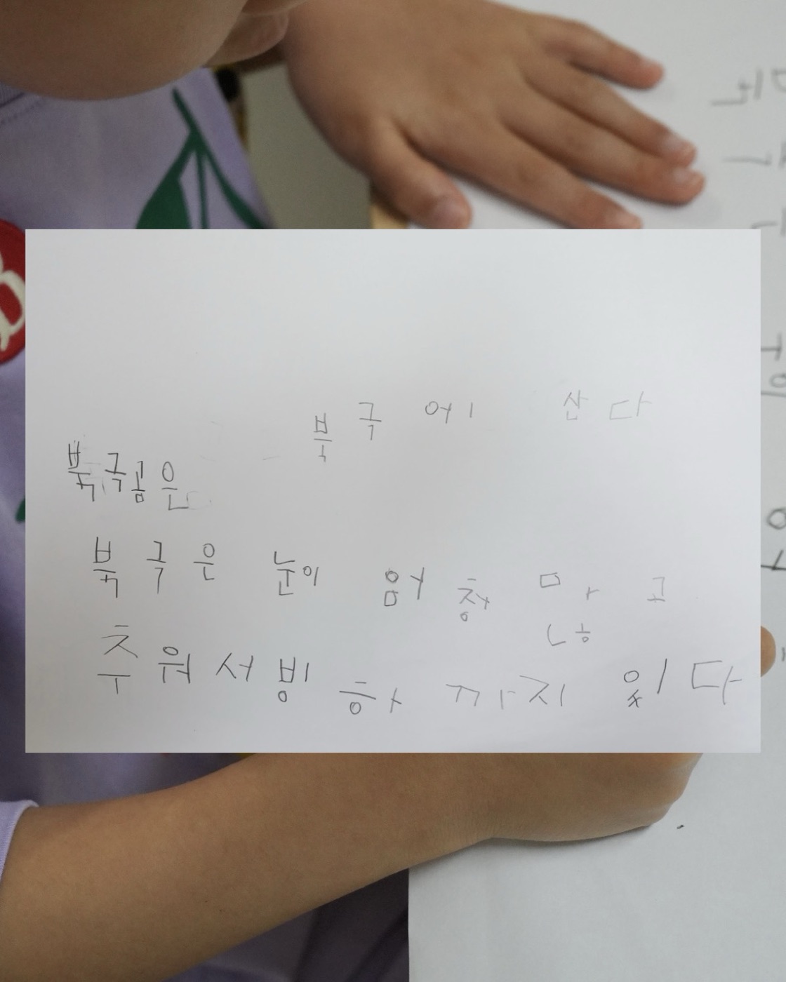 몰입지도를 바탕으로 북극곰에 대해 쓴 문장